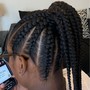 2 to 3 Feed -In Braids