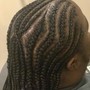 10 Feed-in Braids