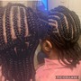 Two Strand Twist (Add)(large)