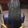 Boho Box Braids