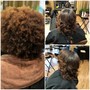 Root Touch Up