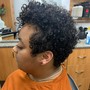 Natural Curly Dry Cut | No Shampoo