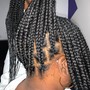 Large  Front  Feedin/Back Box Braids