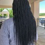 Loc Retwist (201+ locs)