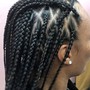 Med Knotless Box Braids (Midback)