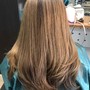 Root touch  up  and cut