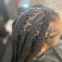 Starter Locs