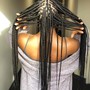 Designer Braids /Knotless in the back