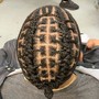 Comb Twist