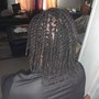 Flat Twists (Natural Hair)