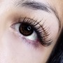 Classic Lashes