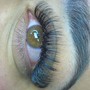 Volume lash fill