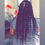 FRENCH BRAID PONYTAIL(MED)