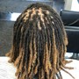 Adult starter locs short hair