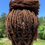 Jumbo Box Braids short