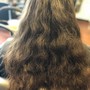 Pre braid appointment (shampoo condition dry )