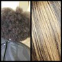 Root Touch Up and Style/ New Growth Only