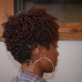 Curly tapered cut + style