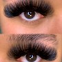 Strip Lash 