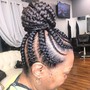 Feed-in braids