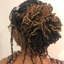 Root Touch Up