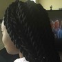 Mermaid  Twists