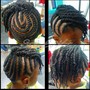 Comb Twist