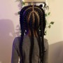 Knotless Box Braids