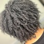 Natural/Protective Hairstyles