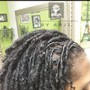 Loc Grooming