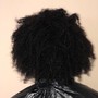 Shampoo/Silk Press/Steam Hydration/CUT