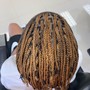 Root Touch Up, Loc Maintenance