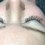 2 week lash  Fill