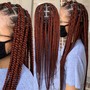 Starter Locs {comb/2 strand}