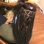 Starter Dreadlocks