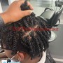 Starter locs(coils)