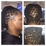 Starter Locs