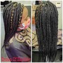 Adult Box Braids lrg