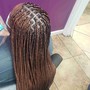 Feed in stitch Braids