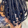 Feed-in Braids (4-5)