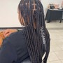 Starter Locs ( Short length or partial head )