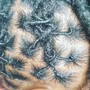 Full Retwist - Shoulder Length to Mid Back w/ Basic Style