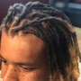 Medium Starter Locs