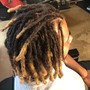 Medium Starter Locs