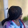 Layered feed in  braids