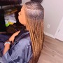 (Small) Senegalese Twist (mid-back length)