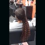 Multi Color/Ombré Braids