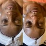 Customized Dermaplaning Facial