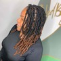 Starter Locs ( Short length or partial head )