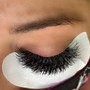 Volume Lashes